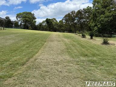 Residential Block For Sale - QLD - Nanango - 4615 - Picturesque 1-Acre Residential Lot  (Image 2)