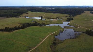 Mixed Farming For Sale - TAS - Upper Natone - 7321 - Milk, Crop & Grazing  (Image 2)