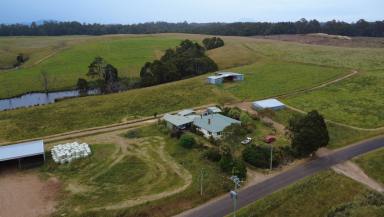 Mixed Farming For Sale - TAS - Upper Natone - 7321 - Milk, Crop & Grazing  (Image 2)