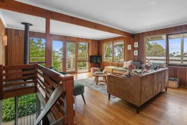 House For Sale - VIC - Skenes Creek - 3233 - BEAUTIFUL HOME AMONG THE GUM TREES
Open for inspection Saturday 31st January 12.30pm to 1.30pm  (Image 2)