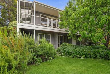 House For Sale - VIC - Skenes Creek - 3233 - BEAUTIFUL HOME AMONG THE GUM TREES
Open for inspection Saturday 31st January 12.30pm to 1.30pm  (Image 2)