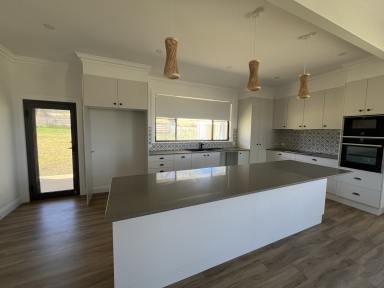 House For Lease - NSW - Pine Ridge - 2343 - Immaculately Renovated 4 Bedroom Home  (Image 2)