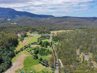 House For Sale - TAS - Sandfly - 7150 - Where Space, Serenity and Style Come Together  (Image 2)