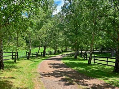 House For Sale - TAS - Sandfly - 7150 - Where Space, Serenity and Style Come Together  (Image 2)