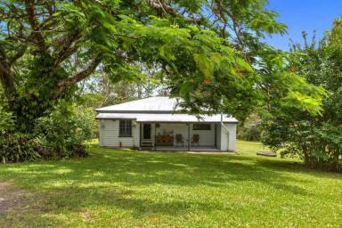 Acreage/Semi-rural For Sale - QLD - Kin Kin - 4571 - NOOSA HINTERLANDS GEM  (Image 2)