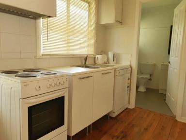 Flat For Lease - NSW - Muswellbrook - 2333 - FULLY FURNISHED ONE BEDROOM SELF CONTAINED FLAT IN A CONVENIENT CENTRAL TOWN LOCATION - PRIVATE AND COMFORTABLE  (Image 2)