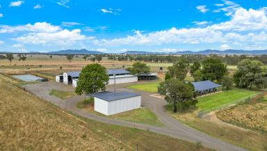 Lifestyle For Sale - NSW - Tamworth - 2340 - HIGHLY DEVELOPED EQUINE FACILITY WITH QUALITY HOME  (Image 2)