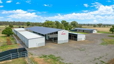 Lifestyle For Sale - NSW - Tamworth - 2340 - HIGHLY DEVELOPED EQUINE FACILITY WITH QUALITY HOME  (Image 2)
