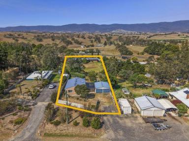 House For Sale - NSW - Bemboka - 2550 - VILLAGE LIVING  (Image 2)