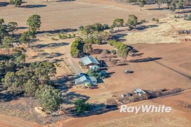 Lifestyle For Sale - VIC - Rochester - 3561 - Open Spaces Await  (Image 2)