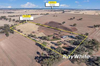 Lifestyle For Sale - VIC - Rochester - 3561 - Open Spaces Await  (Image 2)