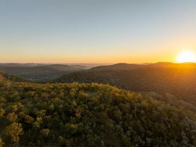 Farmlet For Sale - QLD - West Haldon - 4359 - BULL HILL NORTH  (Image 2)