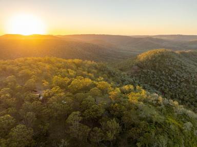 Farmlet For Sale - QLD - West Haldon - 4359 - BULL HILL NORTH  (Image 2)