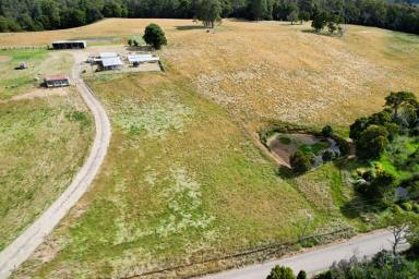 Lifestyle For Sale - TAS - Henrietta - 7325 - A Rare 72-Acre Haven — Productive Land & Water Security (Image 2)
