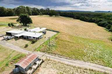 Lifestyle For Sale - TAS - Henrietta - 7325 - A Rare 72-Acre Haven — Productive Land & Water Security (Image 2)