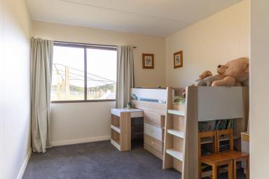 Lifestyle For Sale - TAS - Henrietta - 7325 - A Rare 72-Acre Tasmanian Haven — Productive Land, Peaceful Living  (Image 2)