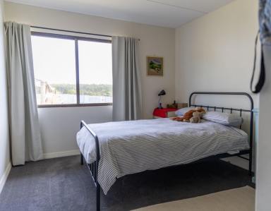 Lifestyle For Sale - TAS - Henrietta - 7325 - A Rare 72-Acre Tasmanian Haven — Productive Land, Peaceful Living  (Image 2)