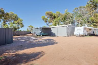 House For Sale - VIC - Mildura - 3500 - It's Like Brand New - In Town with Room for all the Toys!  (Image 2)
