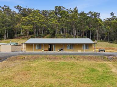 House For Sale - TAS - Bridgenorth - 7277 - Private Property!  (Image 2)