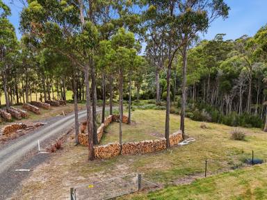 House For Sale - TAS - Bridgenorth - 7277 - Private Property!  (Image 2)