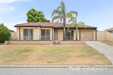 House For Sale - WA - Maddington - 6109 - Quiet Cul-De-Sac with Fresh Upgrades  (Image 2)