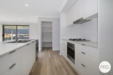 House For Lease - NSW - Thurgoona - 2640 - BRAND NEW LOW MAINTENANCE THREE BEDROOM HOME!  (Image 2)