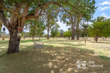 Lifestyle For Sale - WA - Rosa Brook - 6285 - A RARE ROSA BROOK OFFERING (Image 2)