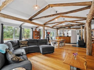 House For Sale - TAS - North Motton - 7315 - Unique Family Home on Almost 2 Acres  (Image 2)