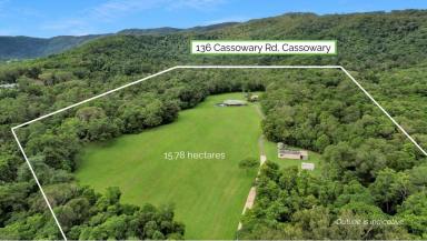 House For Sale - QLD - Mossman - 4873 - Privacy, Space and Potential on 15+ Hectares  (Image 2)