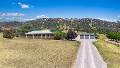 Lifestyle Auction - NSW - Tamworth - 2340 - VIEWS, SPACE, COMFORT & CONVENIENCE  (Image 2)