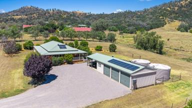 Lifestyle Auction - NSW - Tamworth - 2340 - VIEWS, SPACE, COMFORT & CONVENIENCE (Image 2)