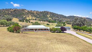 Lifestyle Auction - NSW - Tamworth - 2340 - VIEWS, SPACE, COMFORT & CONVENIENCE (Image 2)