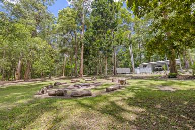 House For Sale - QLD - Pomona - 4568 - Peaceful Hinterland Living on a Private 2.2 Acres  (Image 2)
