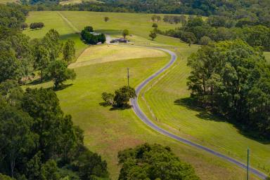 Lifestyle For Sale - NSW - Parma - 2540 - Prime Shoalhaven Grazing & Coastal Lifestyle Opportunity  (Image 2)