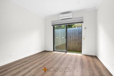 Apartment For Lease - VIC - Mordialloc - 3195 - MODERN STUDIO l PRIVATE COURTYARD l WALK TO EVERYTHING  (Image 2)