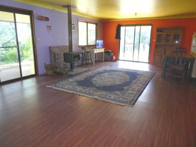 House For Lease - NSW - Bonalbo - 2469 - 2 BEDROOM HOME ON RURAL PROPERTY OFF GRID LIVING  (Image 2)