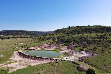 Other (Rural) For Sale - QLD - Thangool - 4716 - "Perrins" Thangool District Grazing  (Image 2)