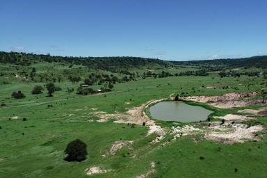 Other (Rural) For Sale - QLD - Thangool - 4716 - "Perrins" Thangool District Grazing  (Image 2)