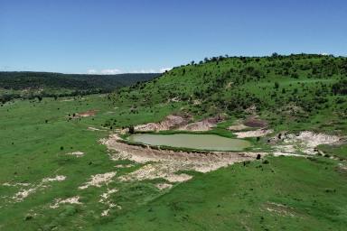 Other (Rural) Auction - QLD - Thangool - 4716 - "Perrins" Thangool District Grazing  (Image 2)