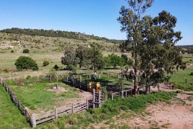 Other (Rural) For Sale - QLD - Thangool - 4716 - "Perrins" Thangool District Grazing  (Image 2)
