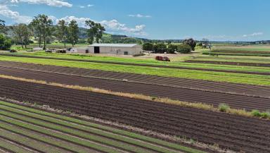 Cropping For Sale - QLD - Mulgowie - 4341 - Excellent Features, Improvements and Prime Location  (Image 2)