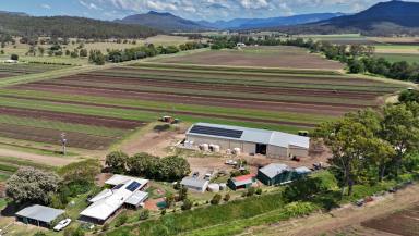 Cropping For Sale - QLD - Mulgowie - 4341 - Excellent Features, Improvements and Prime Location  (Image 2)