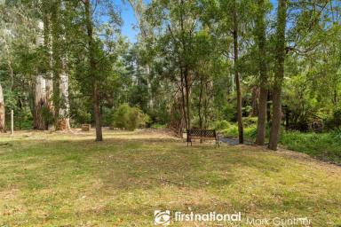 Residential Block For Sale - VIC - Healesville - 3777 - Rare Graceburn Frontage on Over Half an Acre  (Image 2)