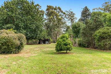 Residential Block For Sale - VIC - Healesville - 3777 - Rare Graceburn Frontage on Over Half an Acre  (Image 2)