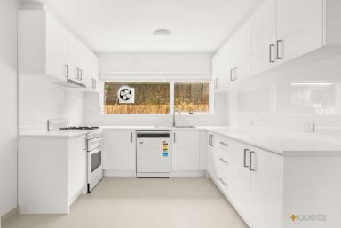 Apartment Leased - VIC - Armadale - 3143 - Fully Renovated Apartment with Separate Study in Prime Armadale  (Image 2)