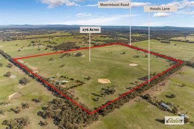 Other (Rural) For Sale - VIC - Moormbool West - 3523 - 276 Acres /111 Hectares (Approx) – Homestead, Extensive Shedding and Abundant Water  (Image 2)