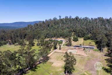 Acreage/Semi-rural For Sale - VIC - Narbethong - 3778 - Lifestyle Acreage with Scope to Shape Over Time  (Image 2)