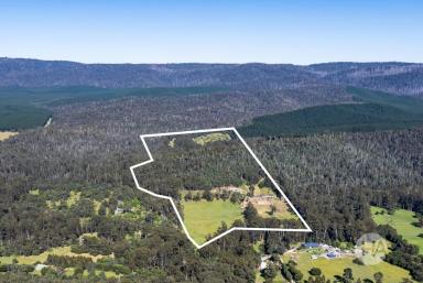 Acreage/Semi-rural For Sale - VIC - Narbethong - 3778 - Lifestyle Acreage with Scope to Shape Over Time  (Image 2)