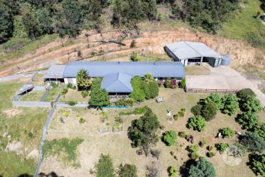 Acreage/Semi-rural For Sale - VIC - Narbethong - 3778 - Lifestyle Acreage with Scope to Shape Over Time (Image 2)