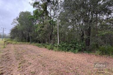 Residential Block For Sale - QLD - Bauple - 4650 - WHERE WATER, WILDERNESS & OPPORTUNITY MEET (Image 2)